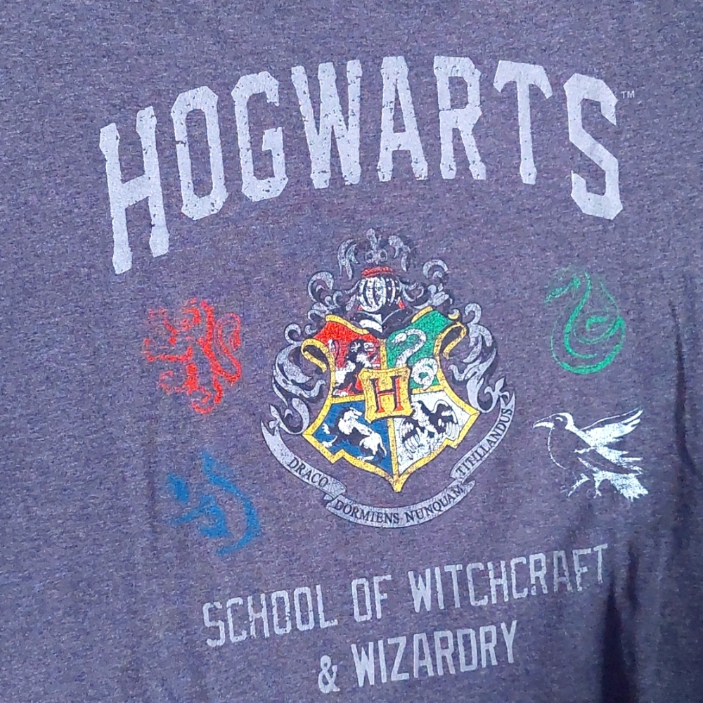 Harry Potter Hogwarts Crest Graphic Tee Size 2XL